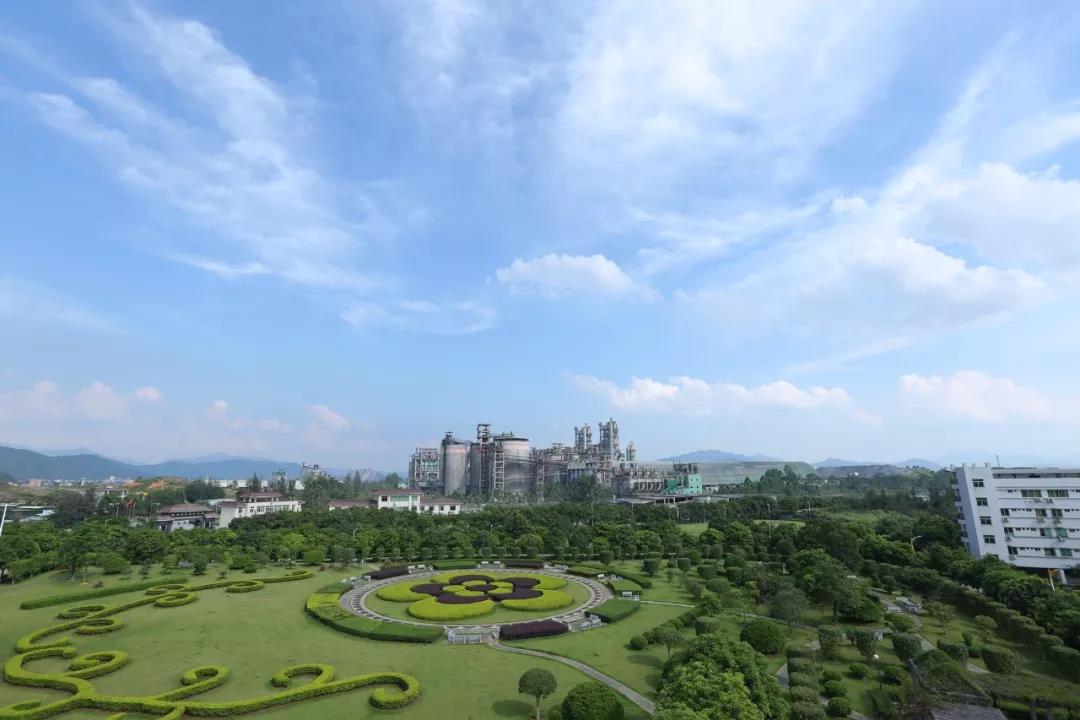 来利国际w66(中国集团)官方网站
