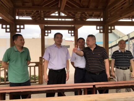 来利国际w66(中国集团)官方网站