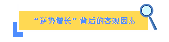 来利国际w66(中国集团)官方网站