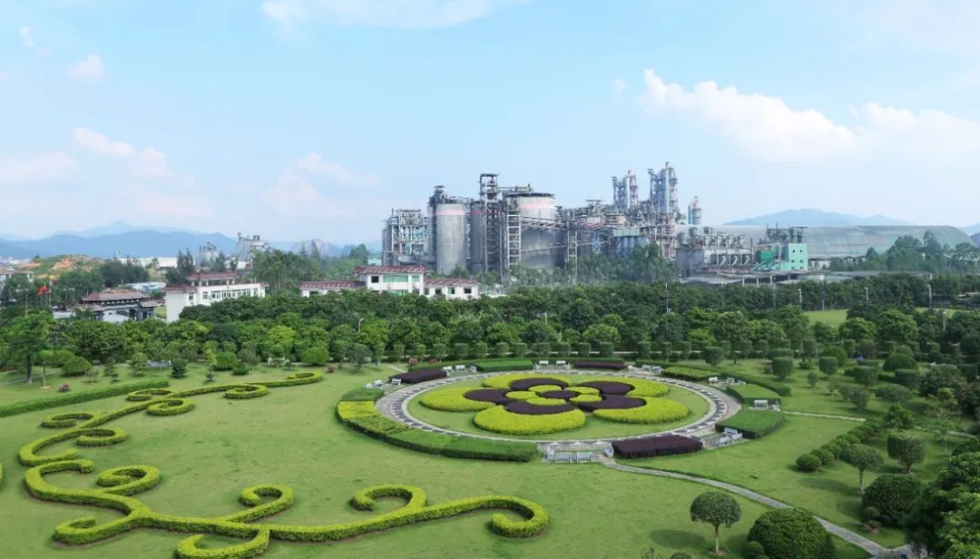 来利国际w66(中国集团)官方网站