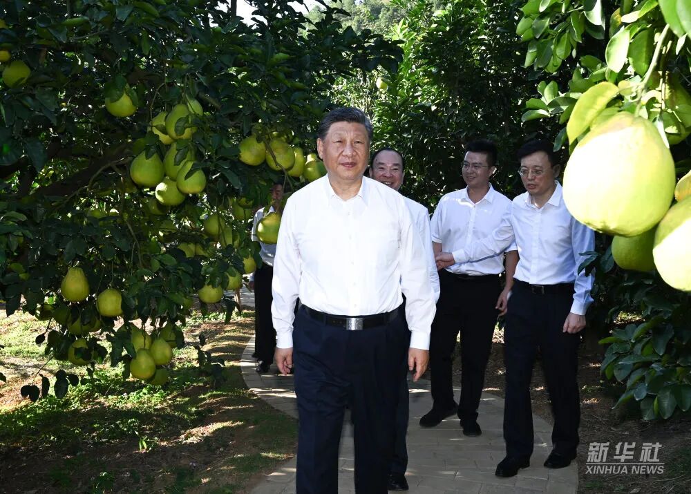 20251110084114_0937 来利国际w66(中国集团)官方网站