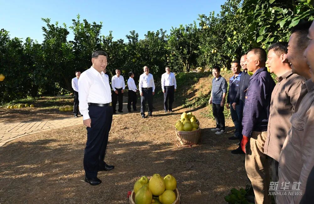 20251110084245_0253 来利国际w66(中国集团)官方网站